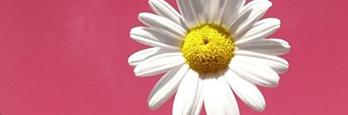 gu_rung's profile banner image