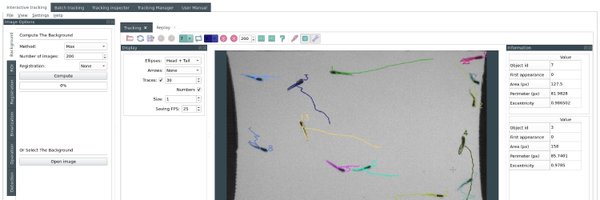 FastTrackOrg Profile Banner