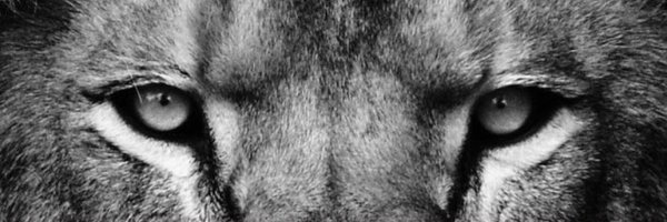 Matt_Rozier3 Profile Banner