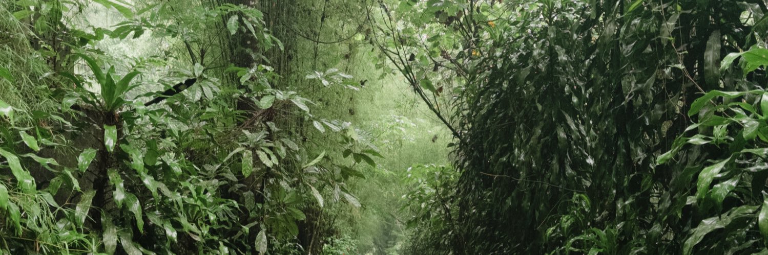 din / inactive banner