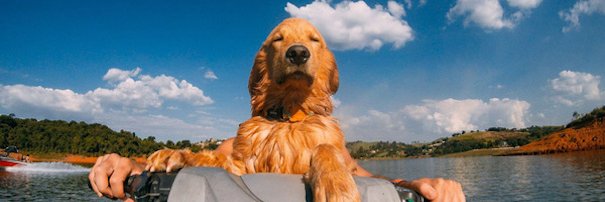 thomashaumonte's profile banner image