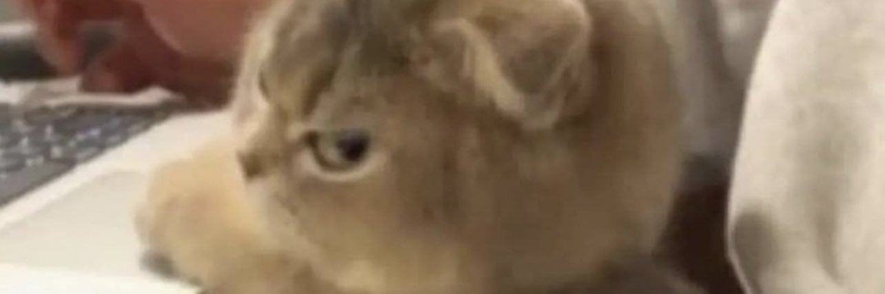 andreagarzonm_'s profile banner image