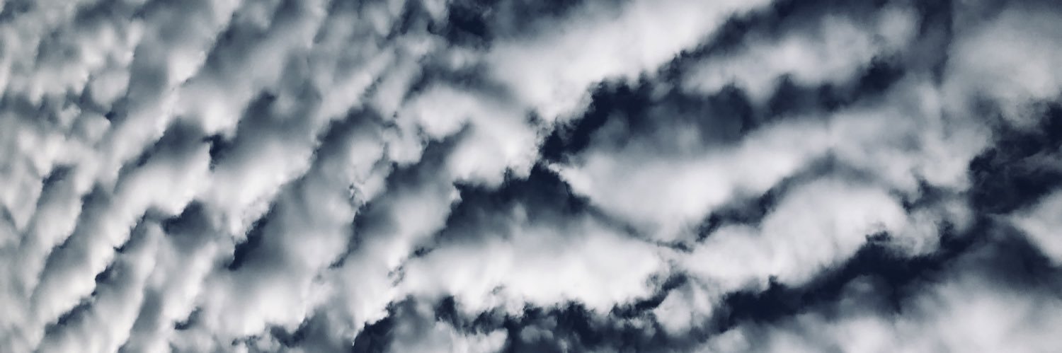 Kalli Kappel's banner