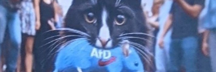Master🕵️of👾Disaster😺Meow#NAFO's banner