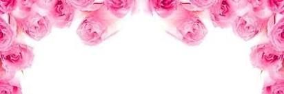 Cutkikihenida's profile banner image