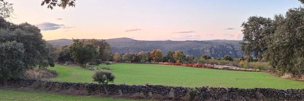 RuralxData Profile Banner