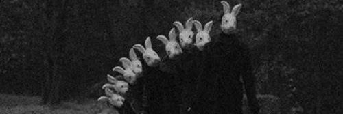 PerspiCassia's profile banner image