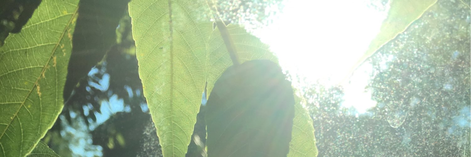 AmazingAprilG's profile banner image