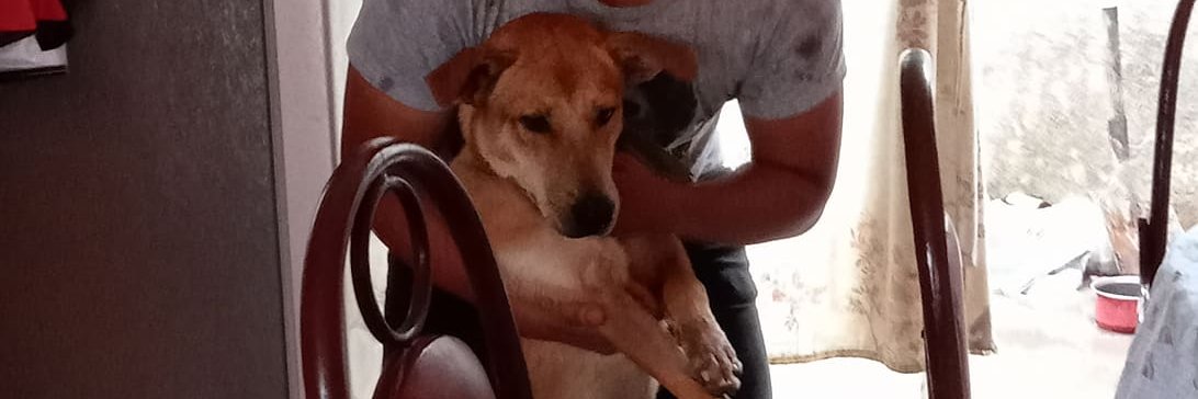 JulioAl11271211's profile banner image