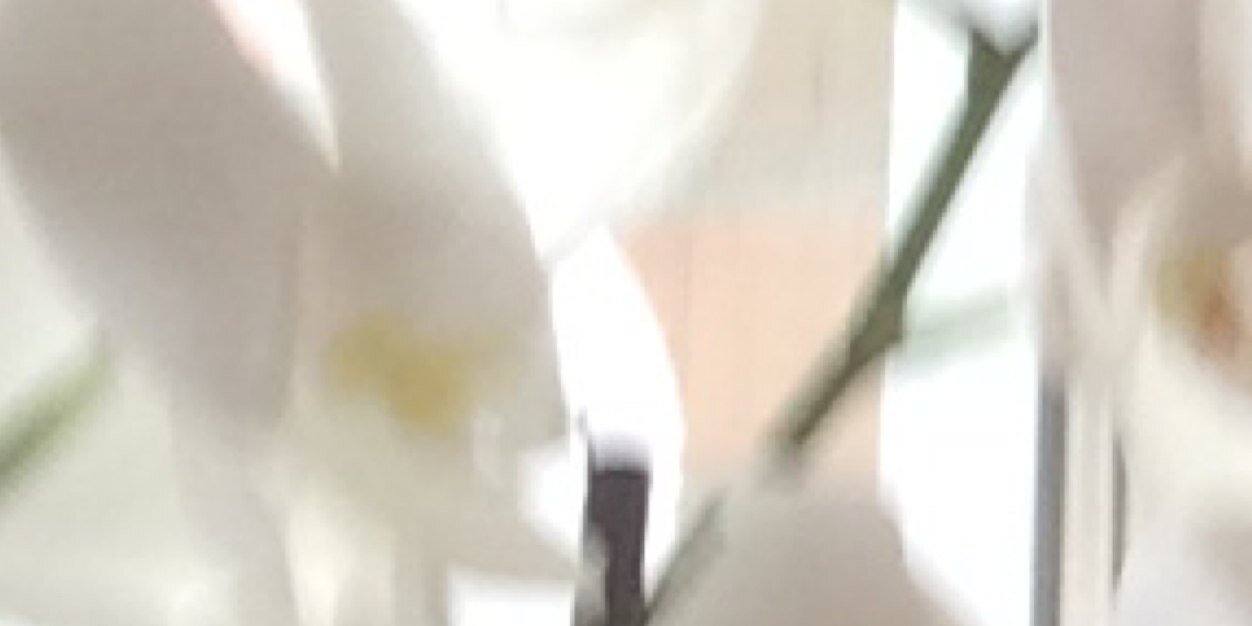 smallomph's profile banner image