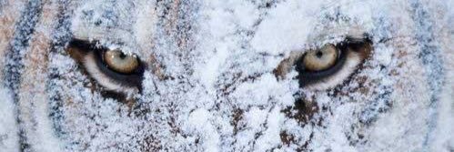 JamieCartman's profile banner image