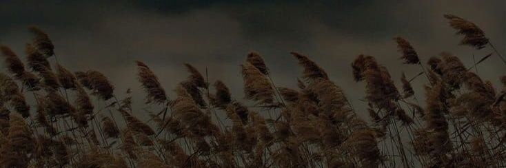 erdknd's profile banner image