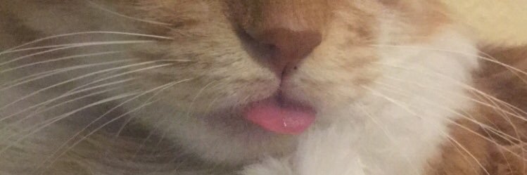 _lunap96's profile banner image
