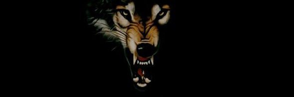 Ceejay__☘️ banner