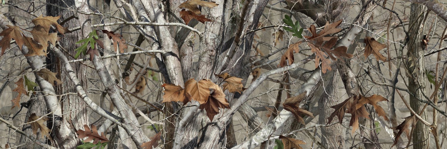 Boy Acuff banner