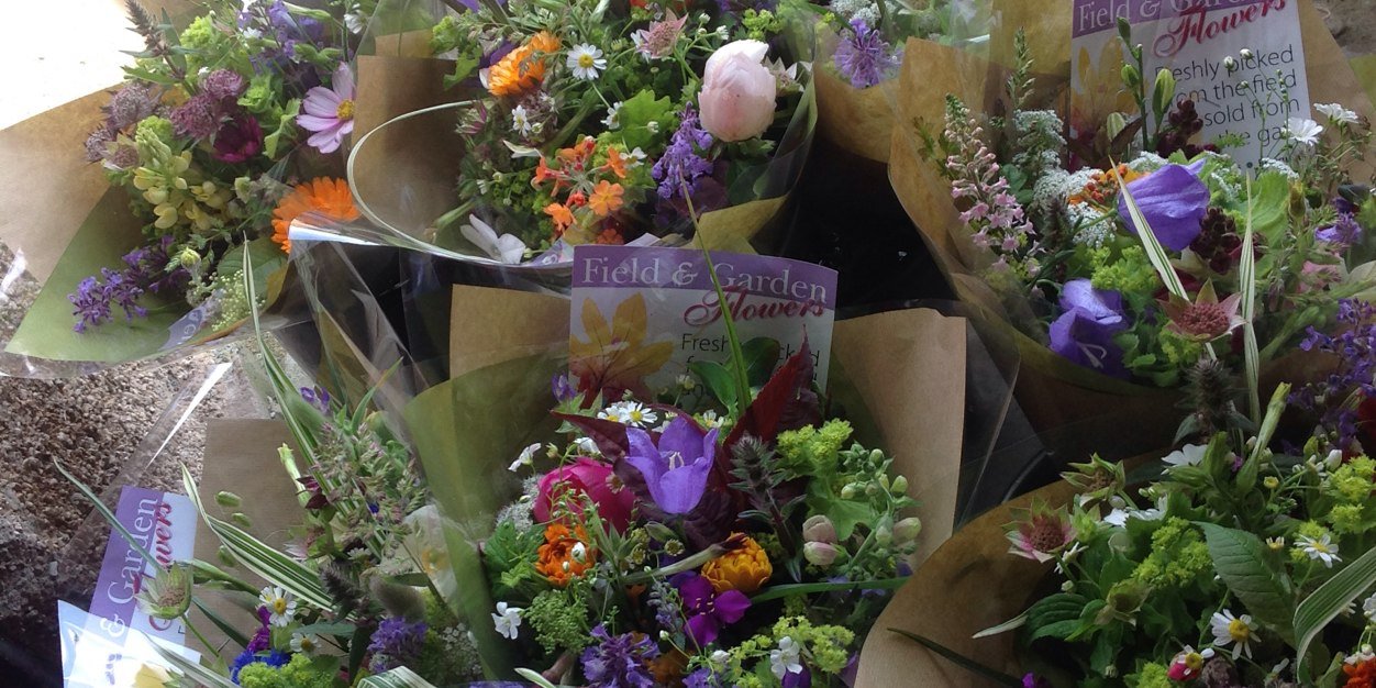 Louise Tomlinson banner