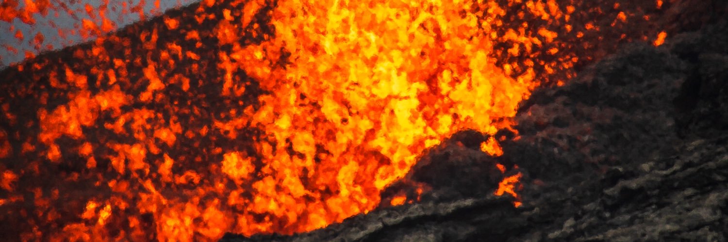 Optimus Dimes banner