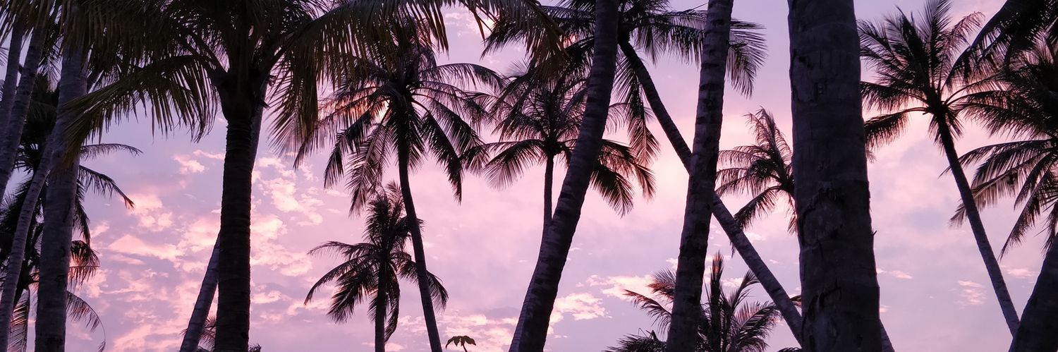 martius2203's profile banner image