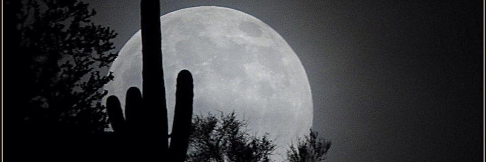 ElizabethDurbi3's profile banner image