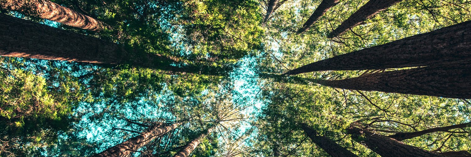 Daniela Osorio banner