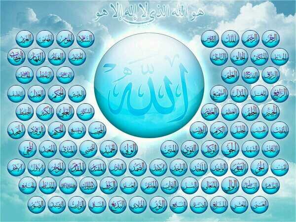 haaam11's profile banner image