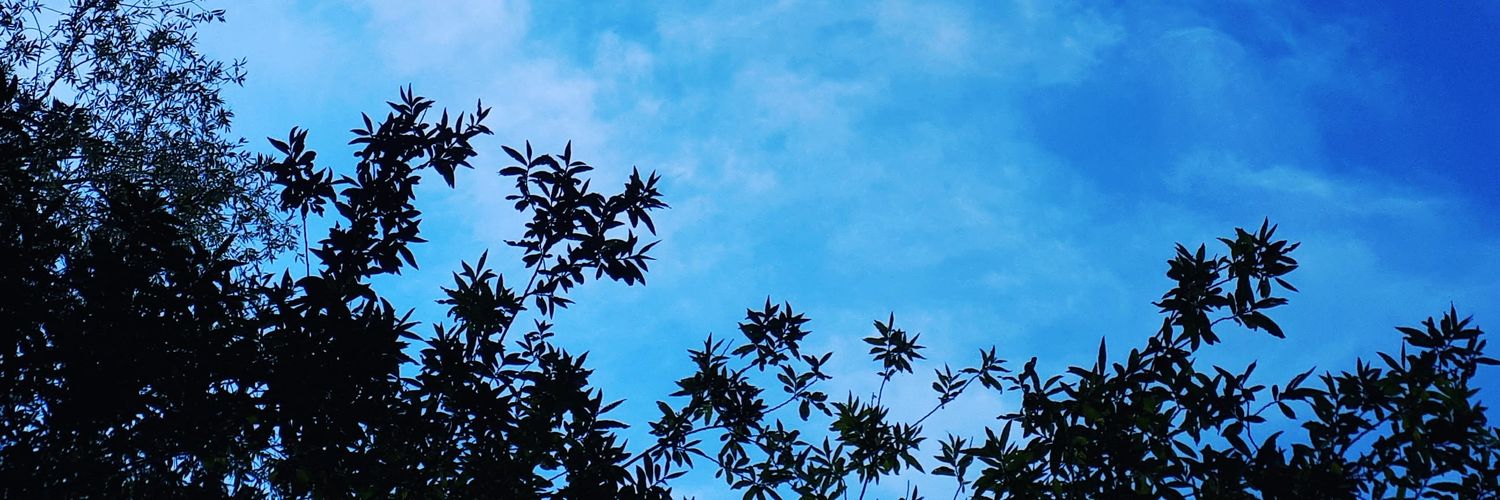 pstellam's profile banner image