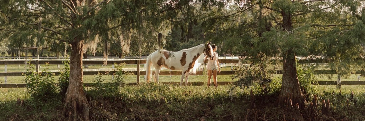 HayleyMariee__'s profile banner image