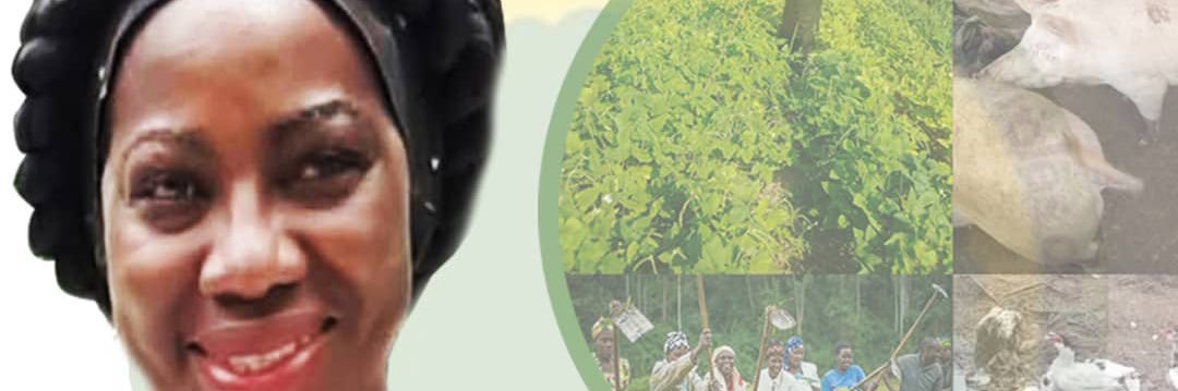 RenaferRDC's profile banner image
