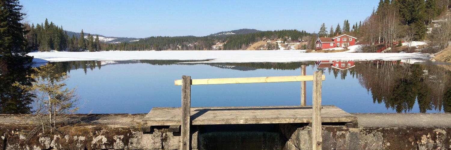 Lene Li Dragland 🌻🇺🇦🎗️ banner