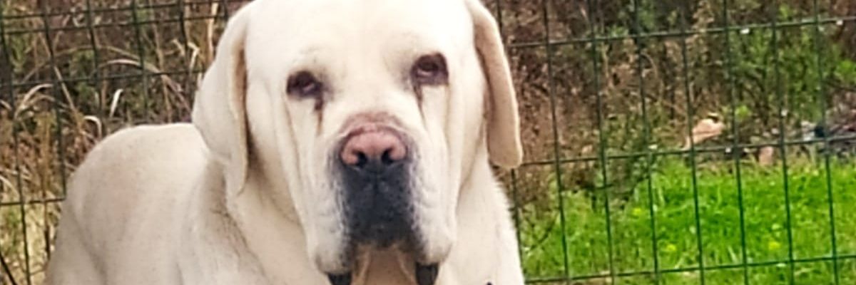 alikarakayaa's profile banner image
