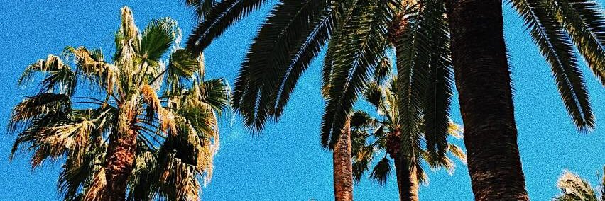 pisces_ds's profile banner image