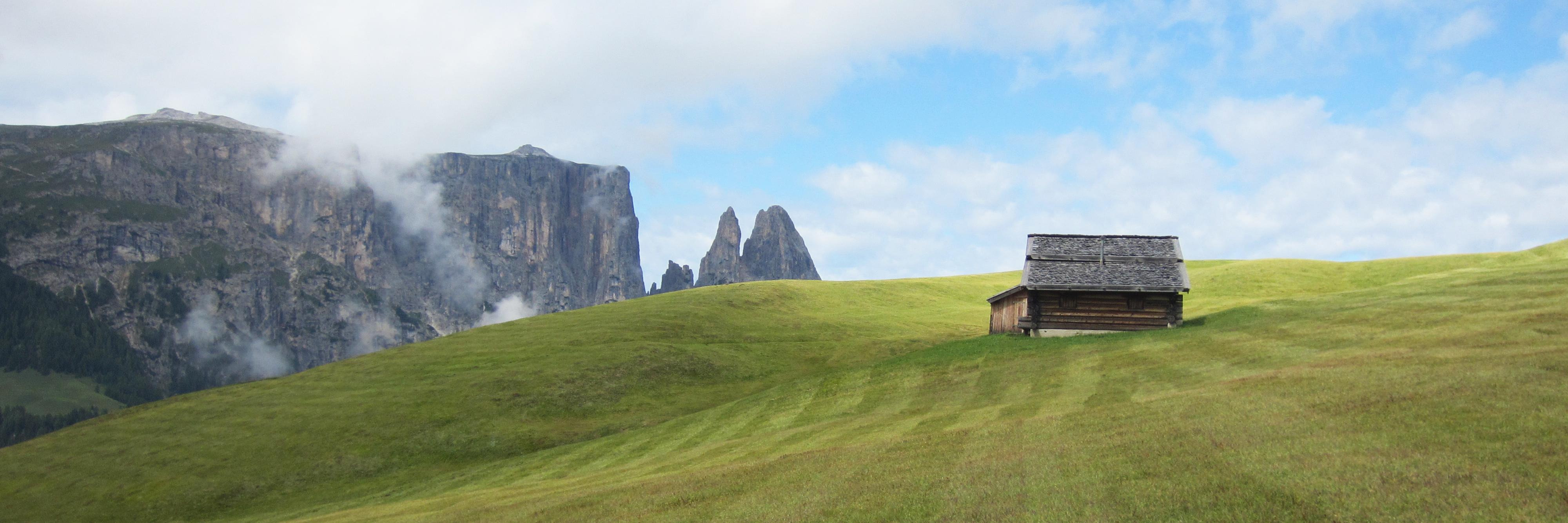 Daniele Gibertoni banner