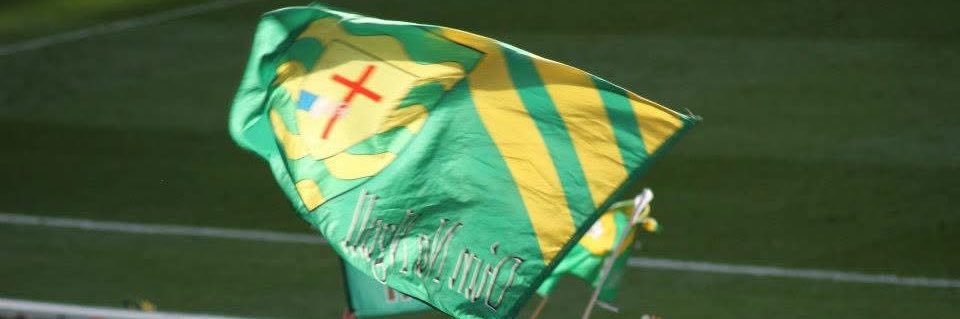 Anne Diver banner