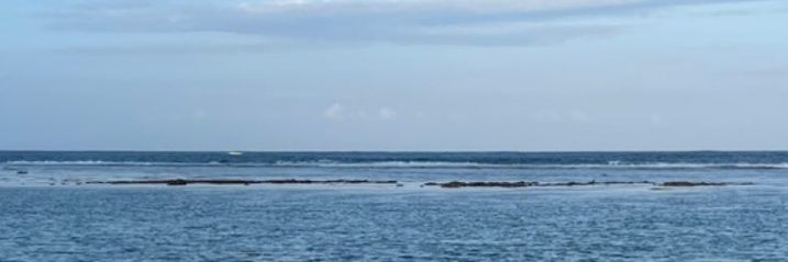 damien allburn banner
