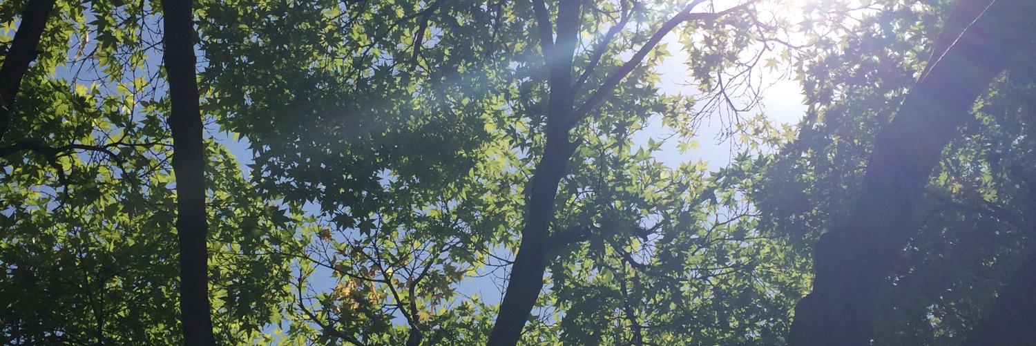 Ri104's profile banner image