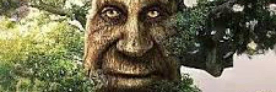 tqmiokaa's profile banner image
