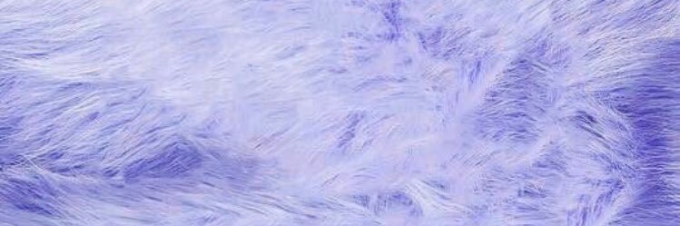 vickycarpanzano's profile banner image