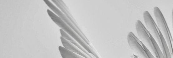 🐹TinyJ | •ᴗ• 444 แอคทีฟตามอารมณ์ banner