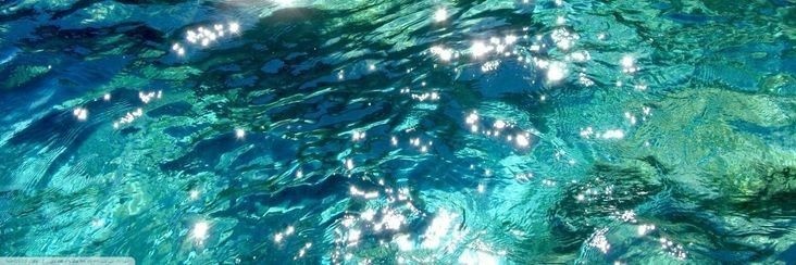 vikki ౨ৎ🐚's banner