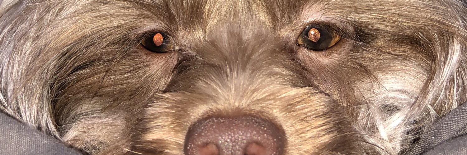 kuyewl's profile banner image