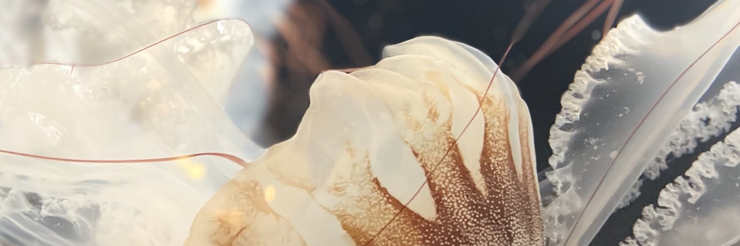 ピグ banner