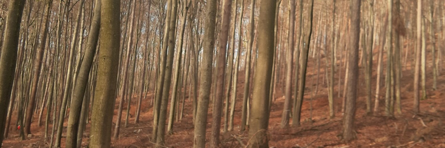 bril_rs's profile banner image