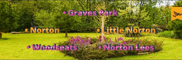 steveayris Profile Banner