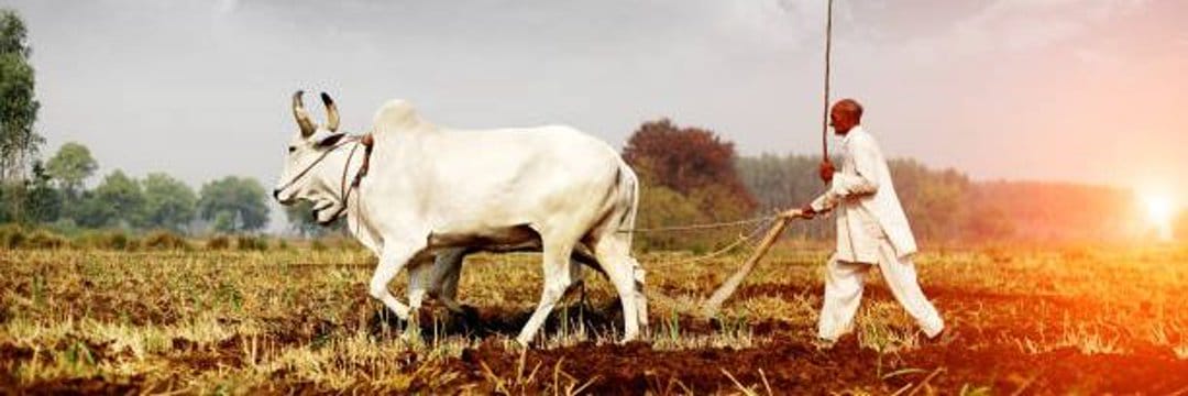 avinashyadv9's profile banner image