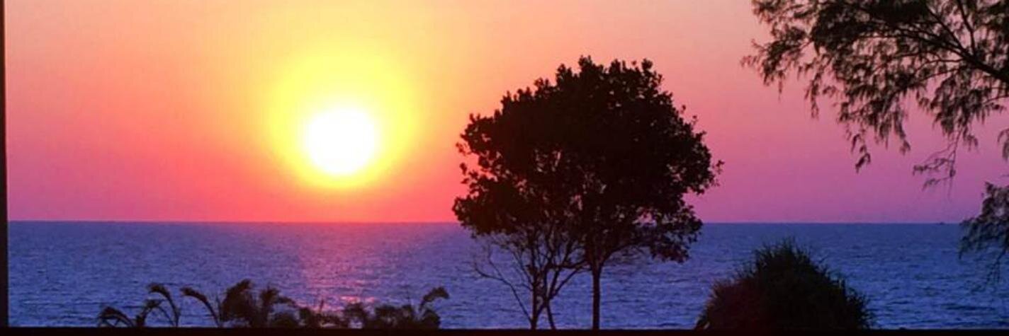 Liz Haverda banner