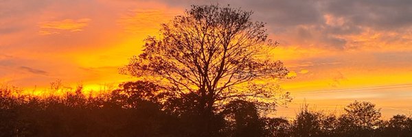 smallholderadve Profile Banner