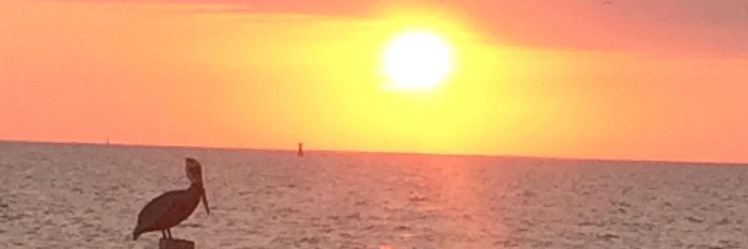 medennis63's profile banner image