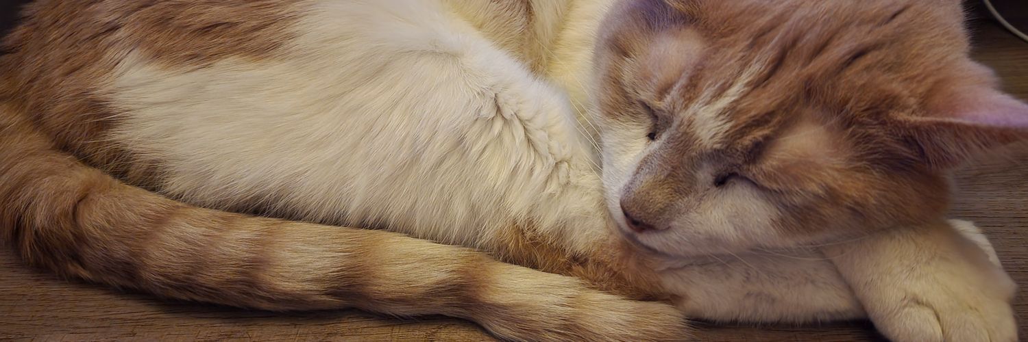 Christopher Frye 🆗️ banner