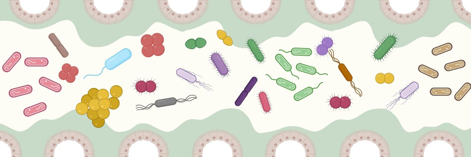 Banc Microbiota Catalunya. Seu Clínic banner