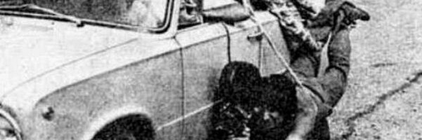 DavMadej Profile Banner